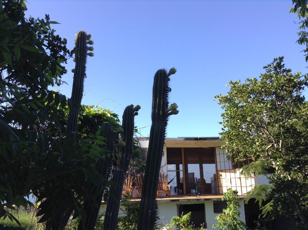 Welcoming Vibes Hotel Treasure Beach Exterior foto